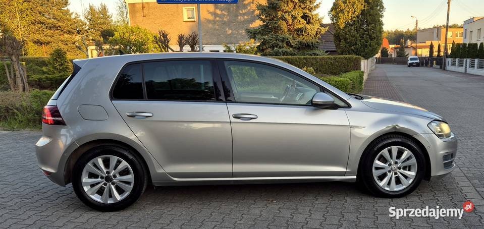 Volkswagen Golf 7 16 TDI BlueMotion uszkodzony Golf wielkopolskie Leszno