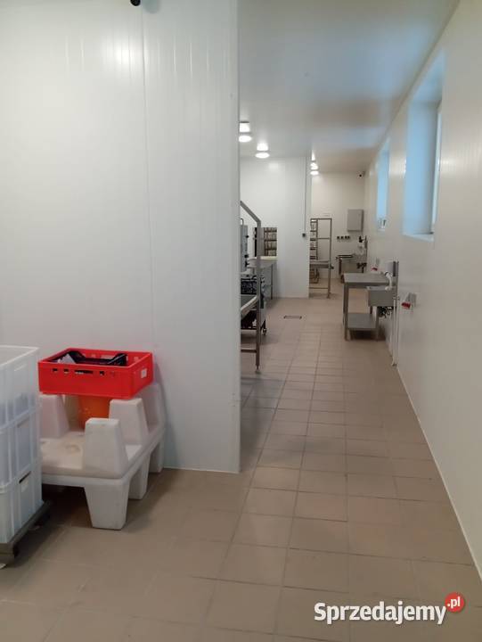 Do wynajęcia budynek z możliwością produkcji i Osiecza Pierwsza