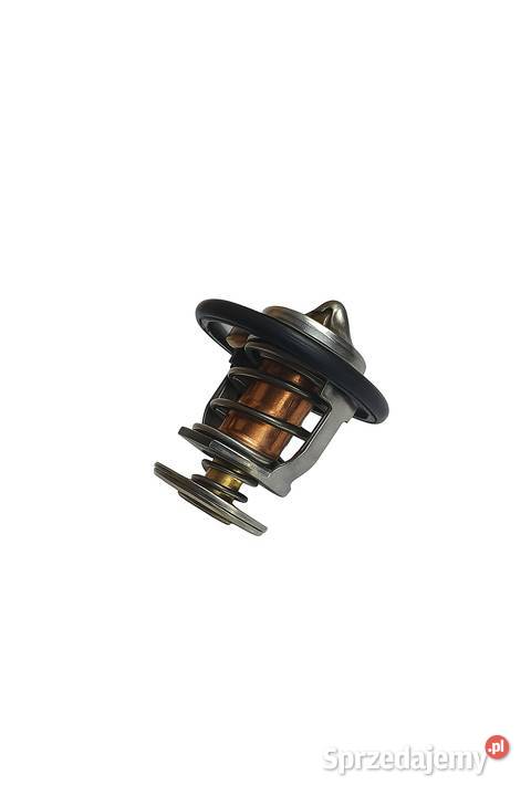 12915549801 Termostat Yanmar
