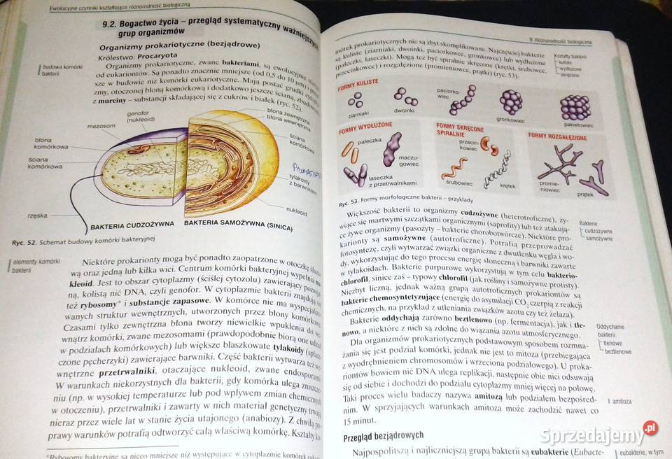 Biologia 2 Podręcznik Jacek Balerstet Ewa miękka Chełm sprzedam