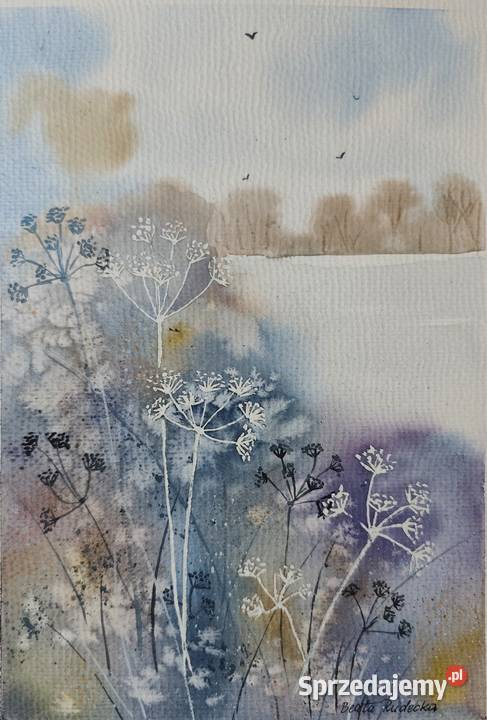 Akwarela Akwarelka Obraz pt Podagrycznik Warszawa