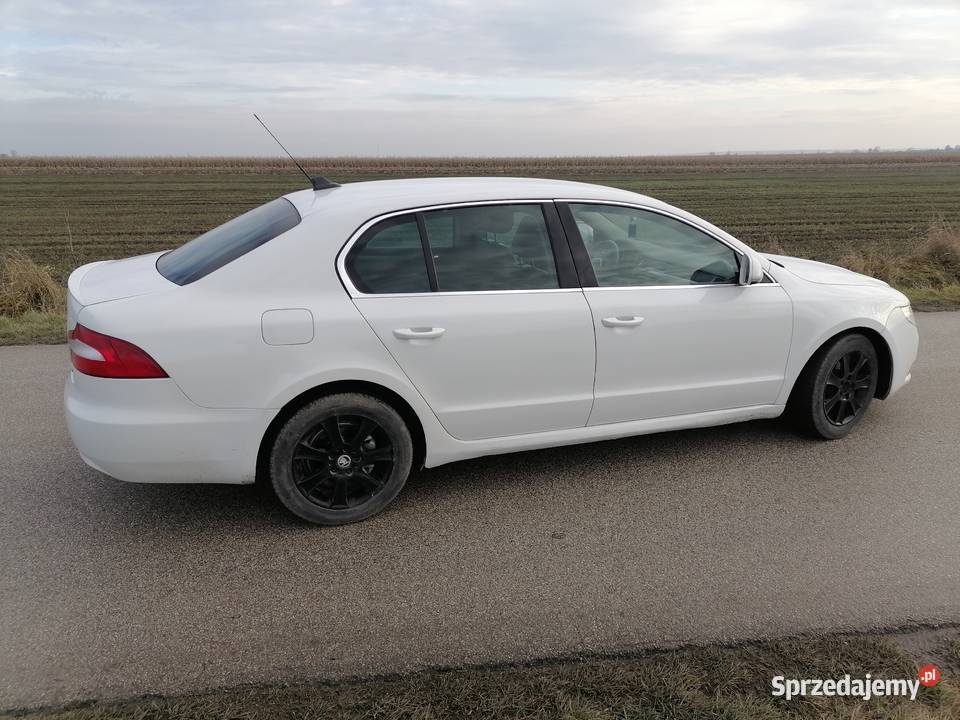 Skoda superb z 2009r sil 19tdi 105biala diesel Jędrzejów sprzedam