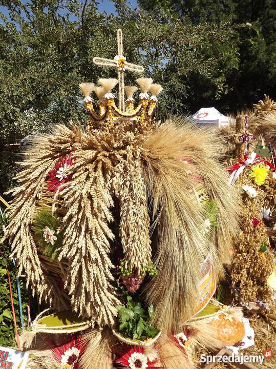 Wieniec dożynkowy dolnośląskie Wrocław