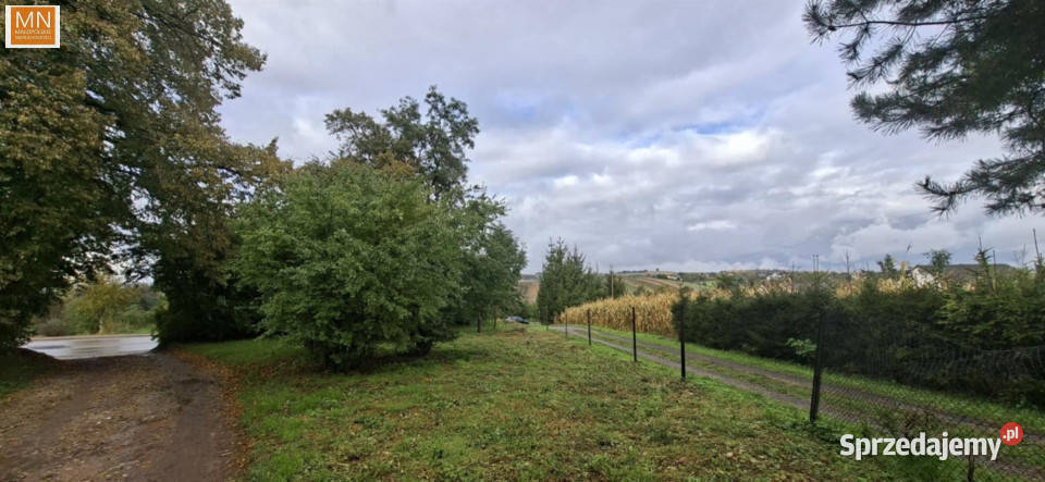 Grunt 2627m2 Miechów Warszawska handlowo-usługowa
