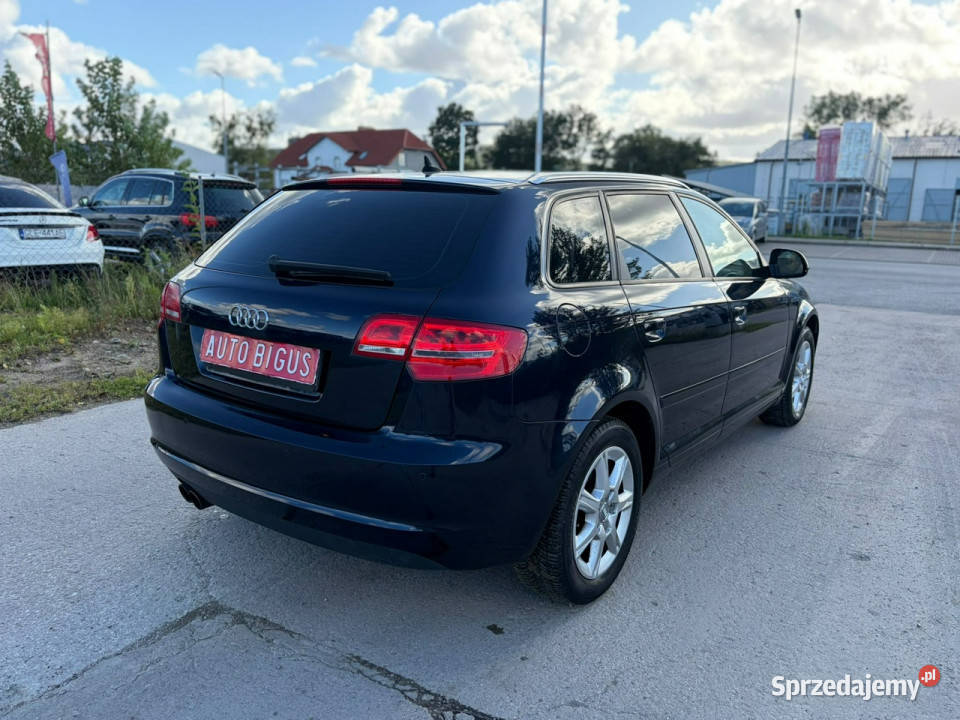 Audi A3 Sportback Climatronic wymieniony rozrząd granatowy