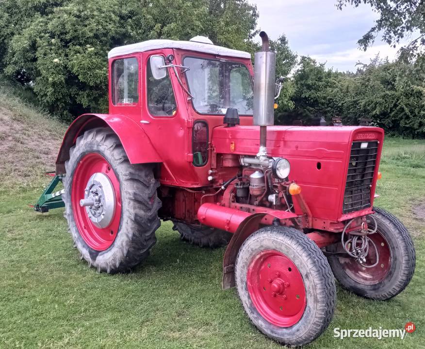 Traktor ciągnik MTZ 50 zarejestrowany Wersja Rusko