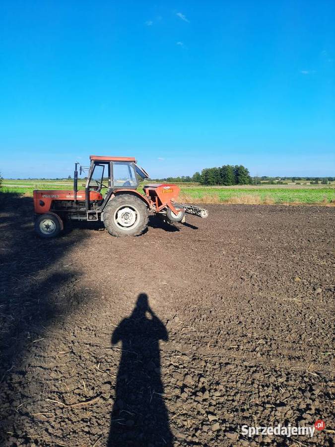 Sprzedam lubelskie Chełm