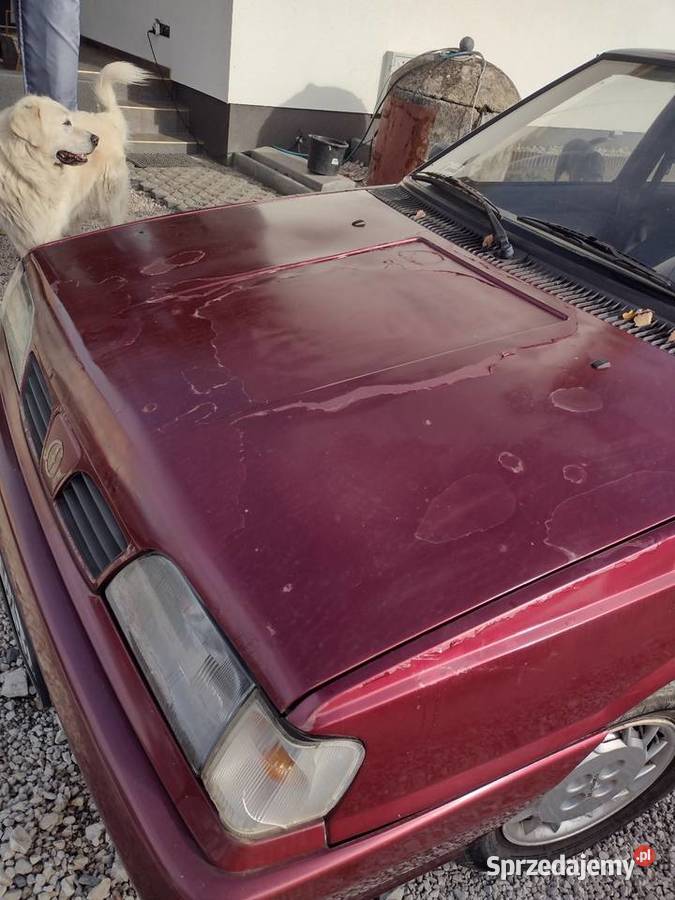 Polonez Atu Bełsznica