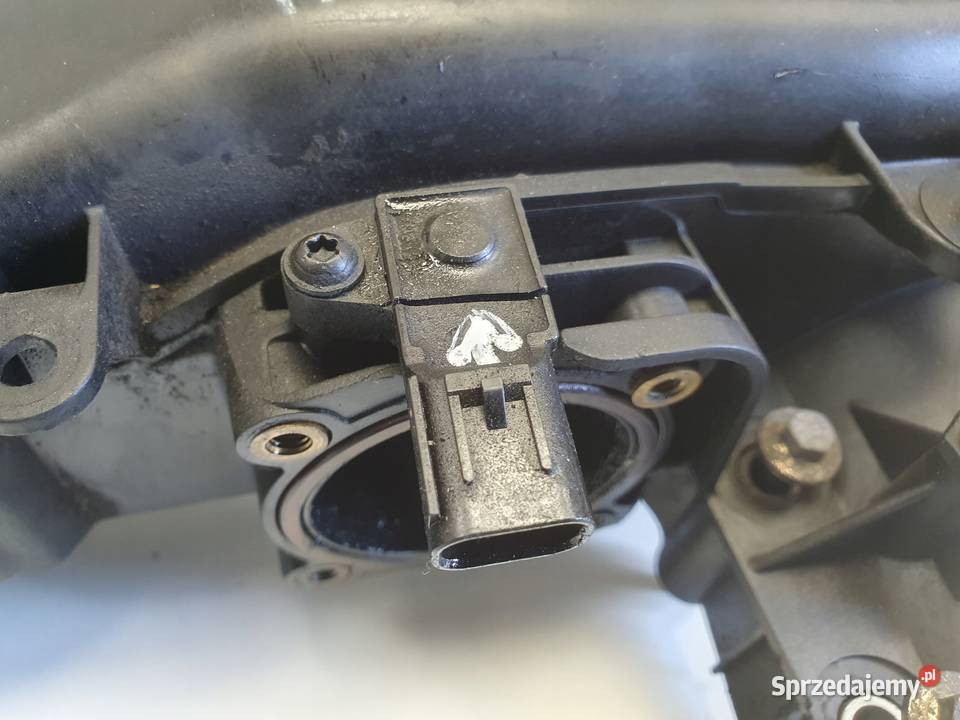 Range Rover Vogue L322 36 368DT KOLEKTOR SSĄCY Rudka