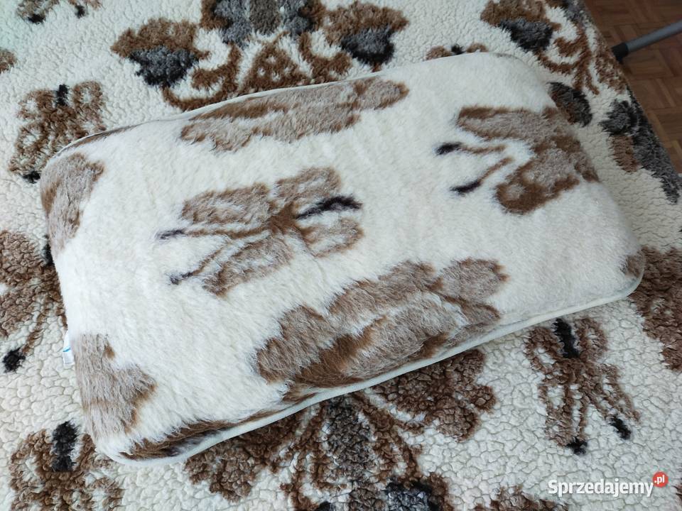 Kołdra z poduszkąWełna owcza 100 Bydgoszcz