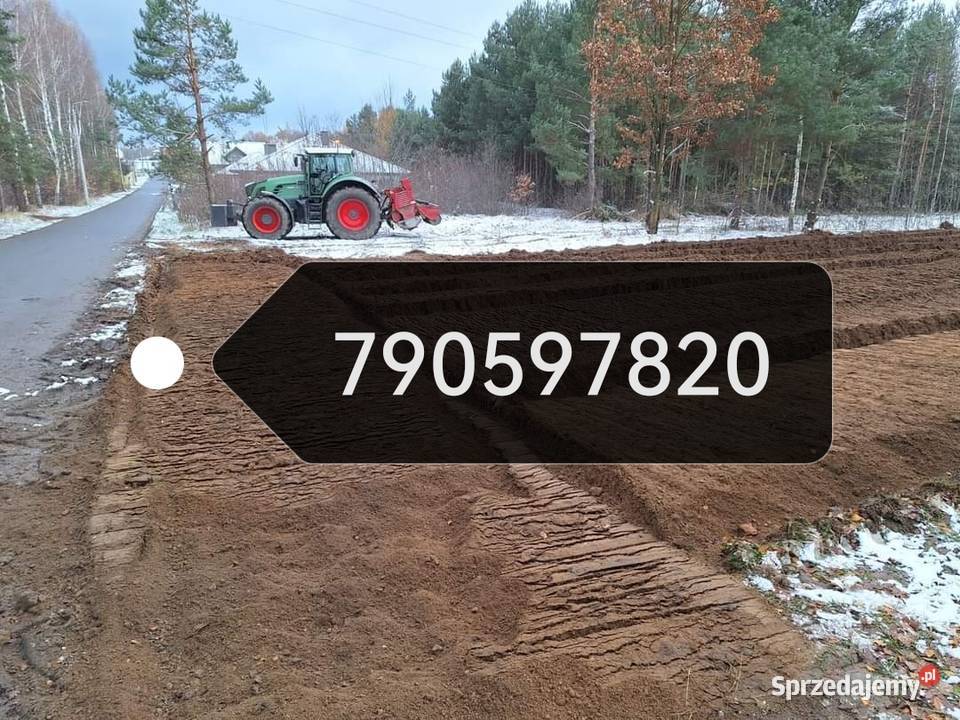 Wycinka drzew Mulczowanie Frezowanie Karczowanie Jędrzejów