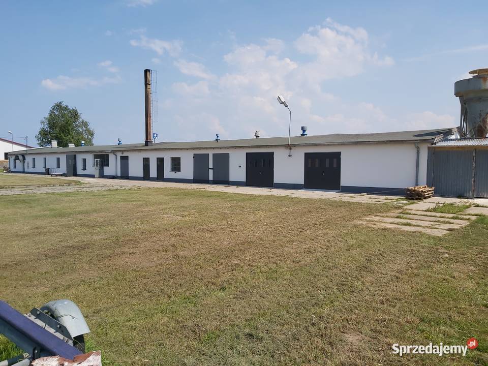 Wynajmę halę produkcyjną stolarnię maszyny Wynajem Gdańsk
