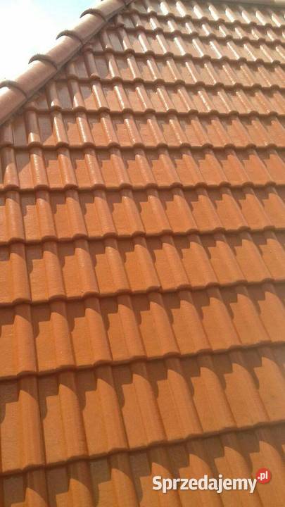 Mycie dachów i elewacji kostki brukowej Ciechanów