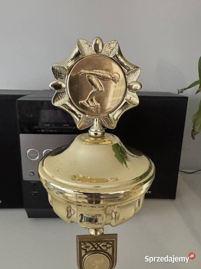 Puchar osiągnięcia sportowe pływanie statuetka świętokrzyskie