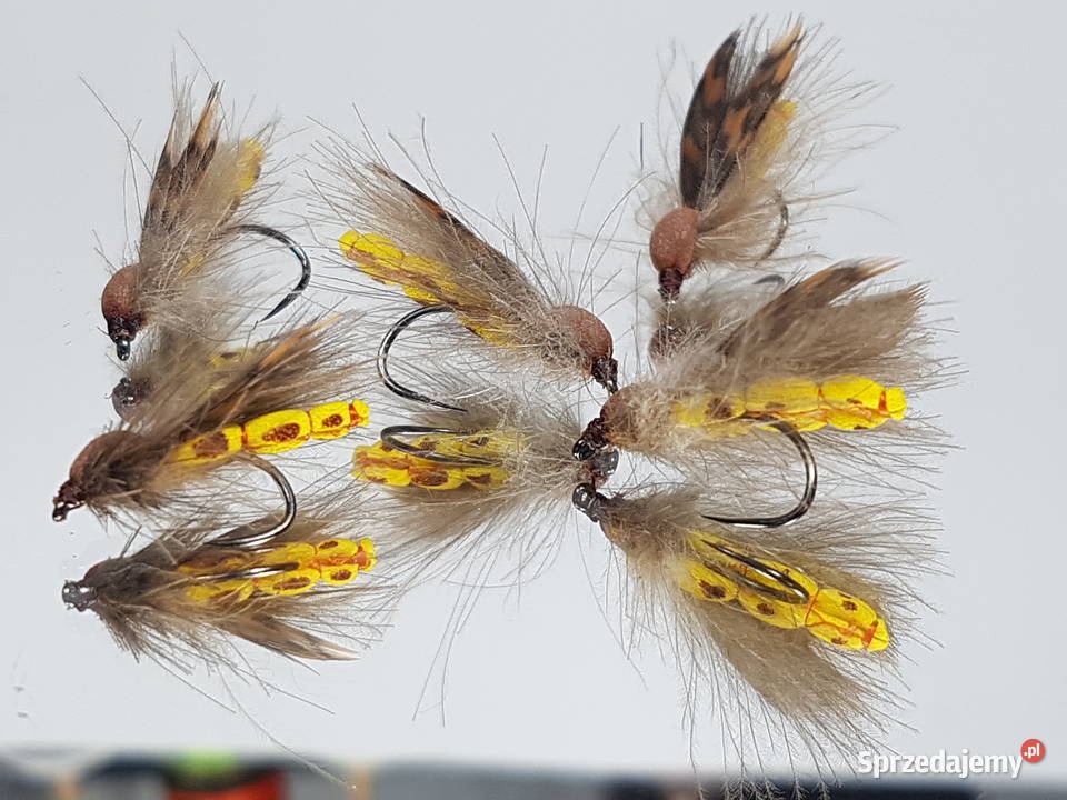 Sztuczne muchy suche chruściki dolnośląskie Leśna