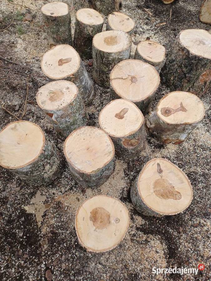 Drewno opałowe drzewo dąb brzoza sosna opał Opał sprzedam