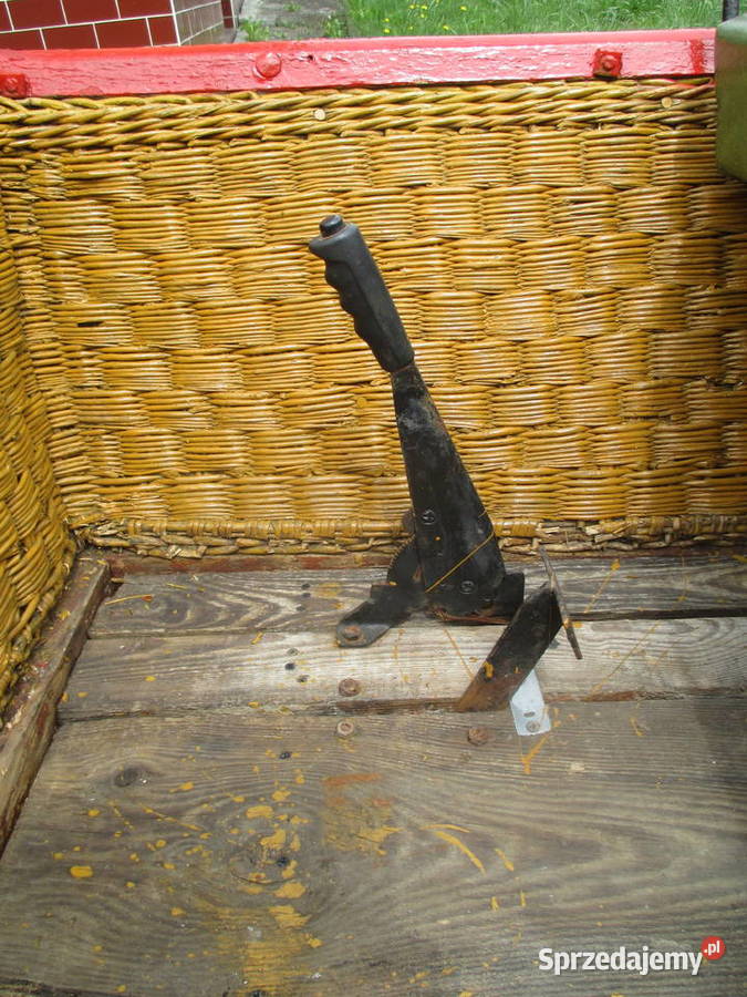 hodowla hucułów handzlówka Zwierzęta