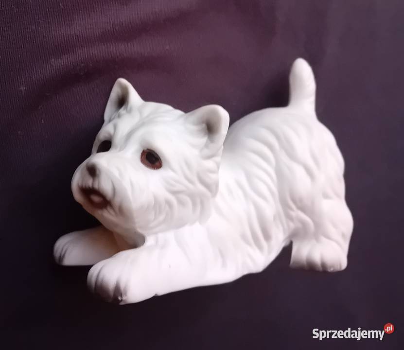 Figurka z porcelany biskwitowej pies West Koźminek sprzedam