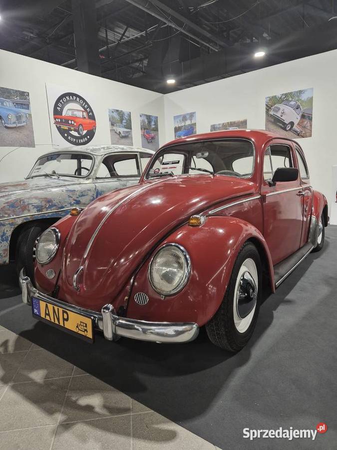 Volkswagen Garbus Dziadek do dopieszczenia 1963 Warszawa sprzedam