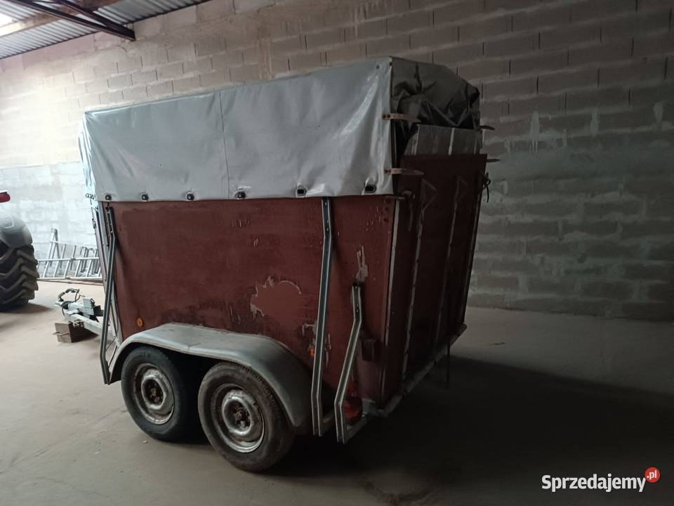 Przyczepa do przewozu zwierząt koniowóz zachodniopomorskie Myślibórz sprzedam