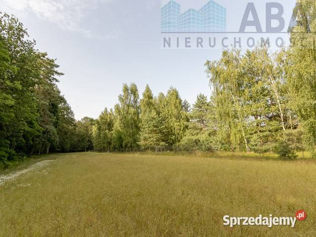 OKAZJA działka w świetnej lokalizacji Bielawy wielkopolskie