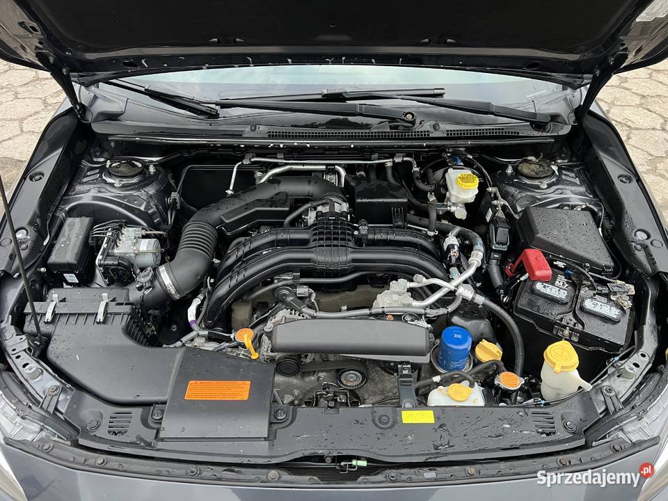 SUBARU IMPREZA Łapy