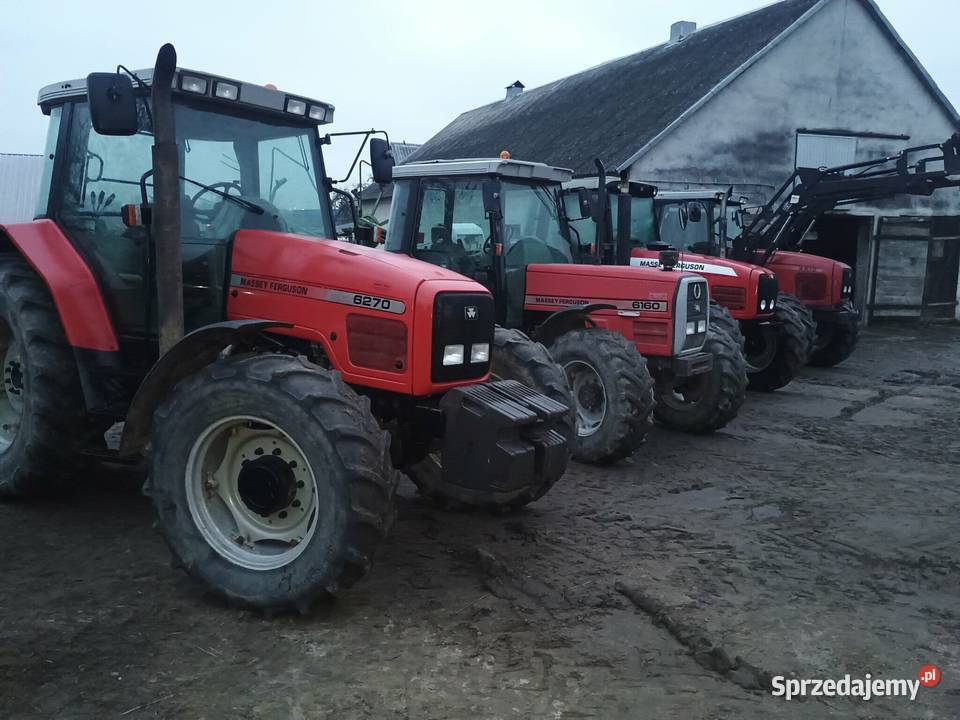 Massey Ferguson do wyboru Ostrów Mazowiecka sprzedam