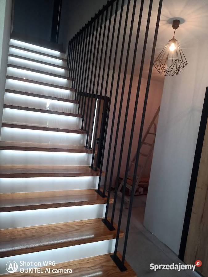 Metaloplastyka Gard House Wysokiej jakości bramy ocynk