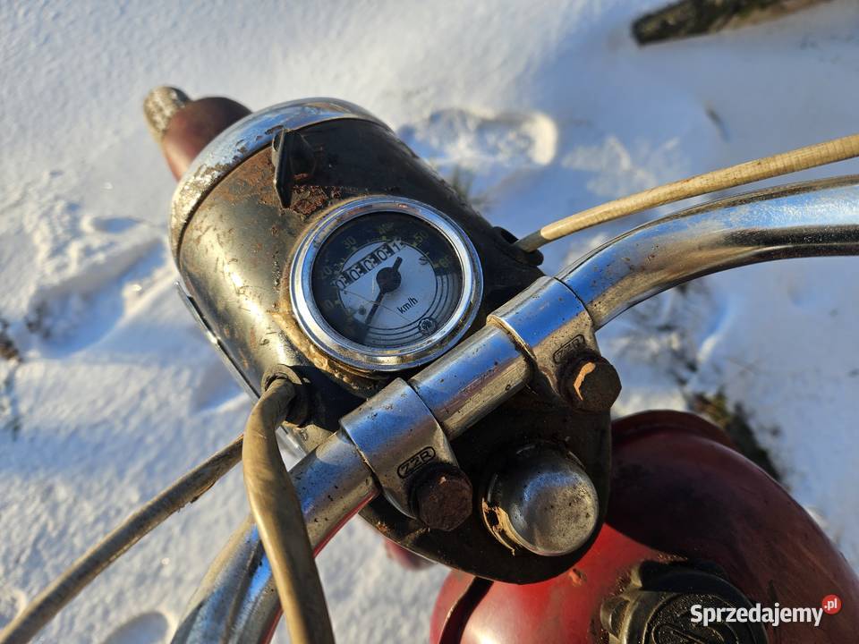 Komar sztywniak 2320 Oryginał Kłodawa