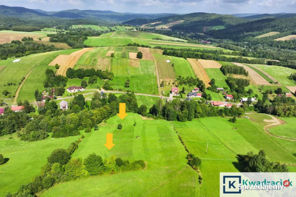 Grunt Hołuczków 11100m2