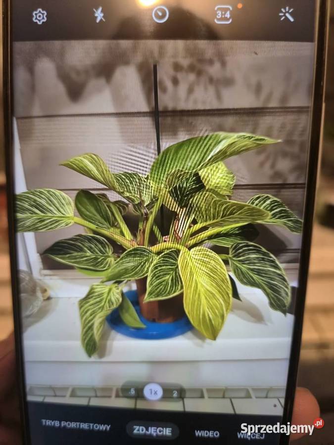 Samsung Galaxy A22 5G 464GB nowy małopolskie