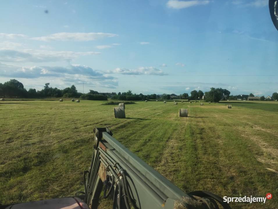 Siano śląskie