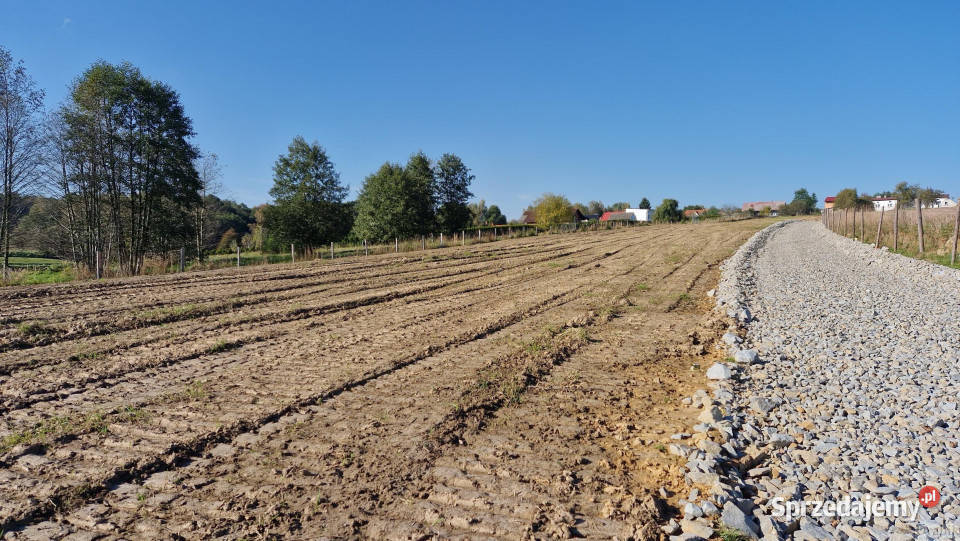 Ogłoszenie grunt Wadowice 800m2 Sprzedaż