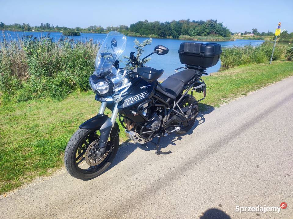 Triumph Tiger 800 XRT 2019r
