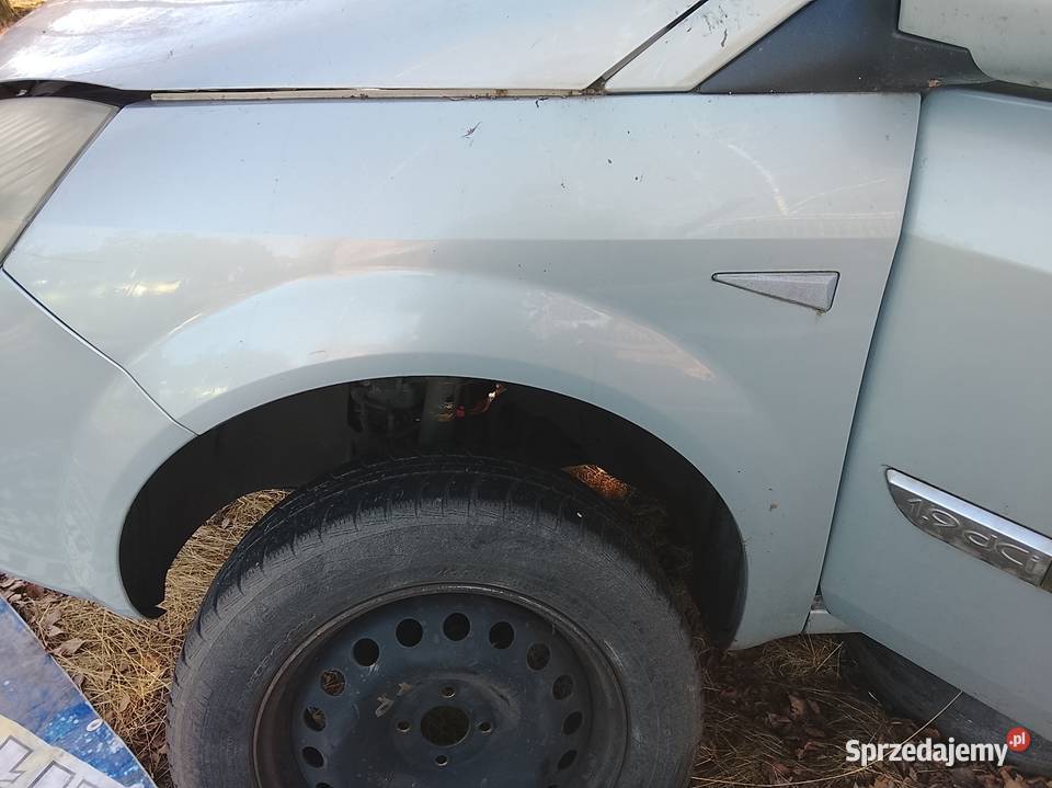 Błotnik lew scenic II wielkopolskie sprzedam