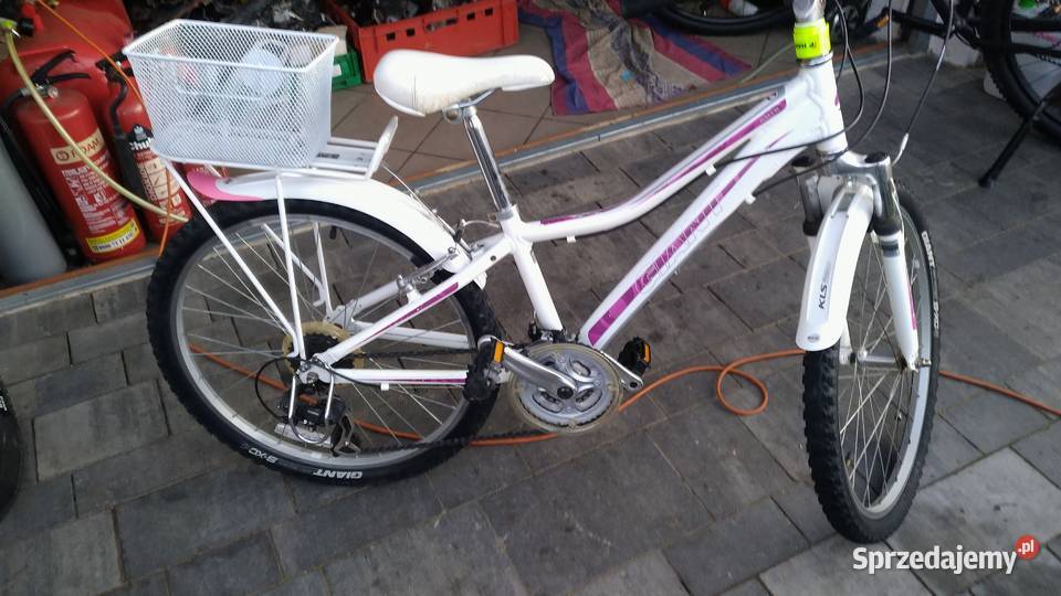 rowery górskie Raleigh Giant bmx Żabno