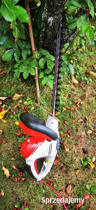 Nożyce elektryczne Kłodzko