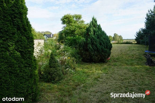 Sprzedam Sprzedaż Siemienice