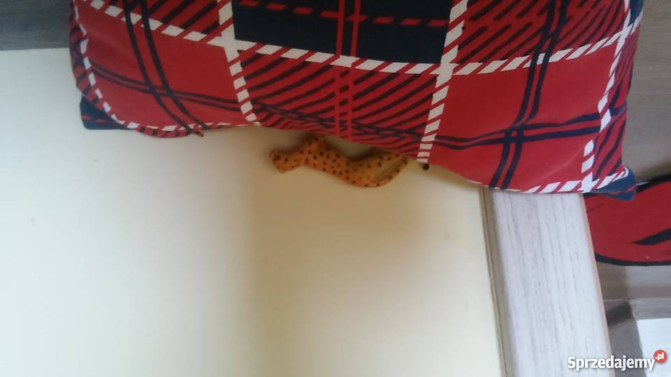 zabawka gepart Plastik  Częstochowa