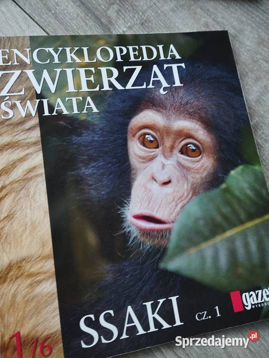 encyklopedia zwierząt świata 6 części komplet wielkopolskie Poznań sprzedam
