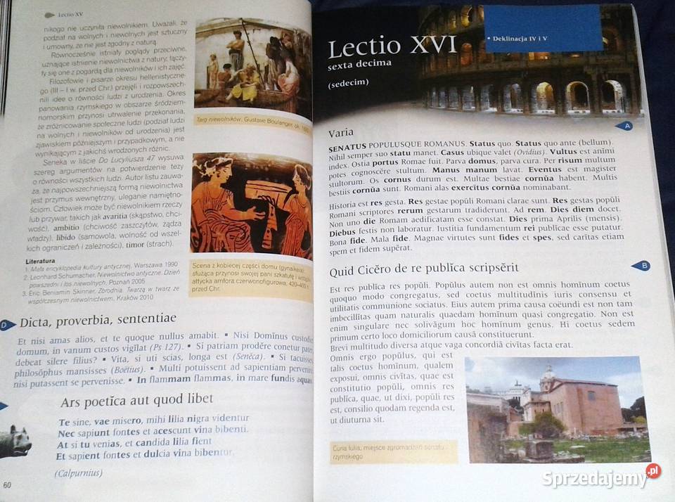 Porta Latina Nova Podręcznik Preparacje i miękka Pozostałe Chełm