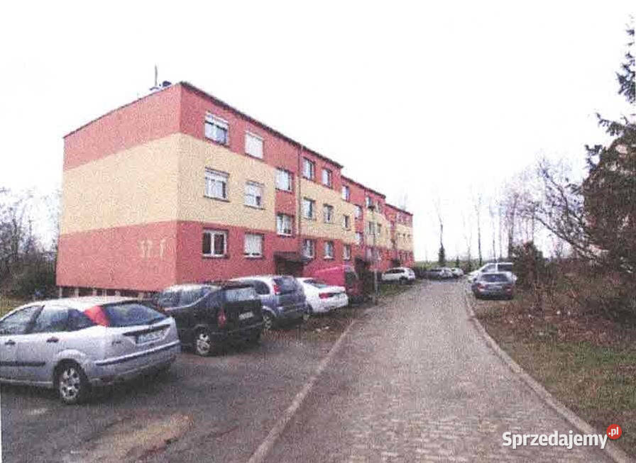 Sprzedam udział 12 w lokalu mieszkalnym Liczba pokoi 3 Żarska Wieś sprzedam