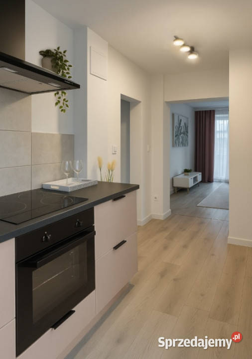 Świeżo Remoncie 46m2 Balkon Piwnica AGD Liczba pokoi 2 śląskie Częstochowa