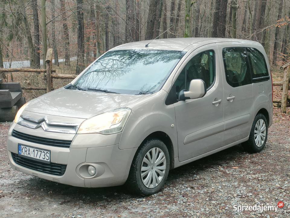 Citroen Berlingo Multispace