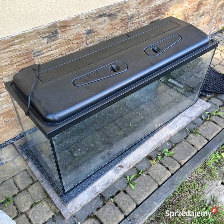Akwarium 240 l Pozostałe Łańcut
