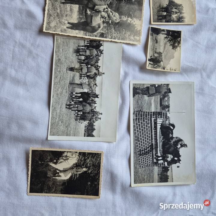 Zdjęcia niemcy na konikach II wojna 11 sztuk Antyki, Sztuka, Kolekcje Brzesko