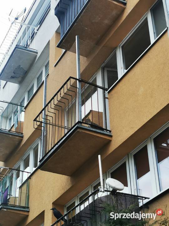 Montaż siatki na balkon koty ptaki