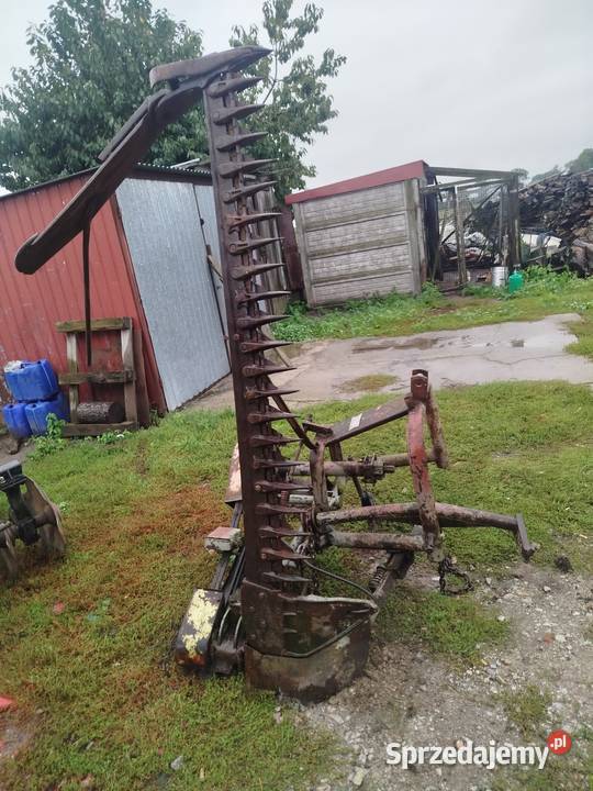 Kosiarka Osa wielkopolskie