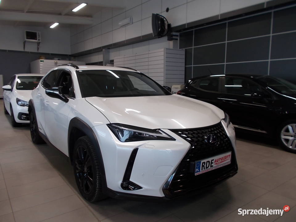 LEXUS UX 250H bEE AutomatSalon Polska