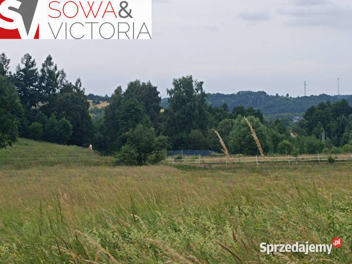 Działka lesie w sąsiedztwie zalewu Stare Bogaczowice
